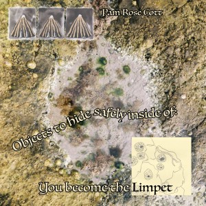 Objects to Hide Safely Inside Of: Become the Limpet - Pam Rose Cott