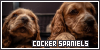 Cocker Spaniels fanlisting button